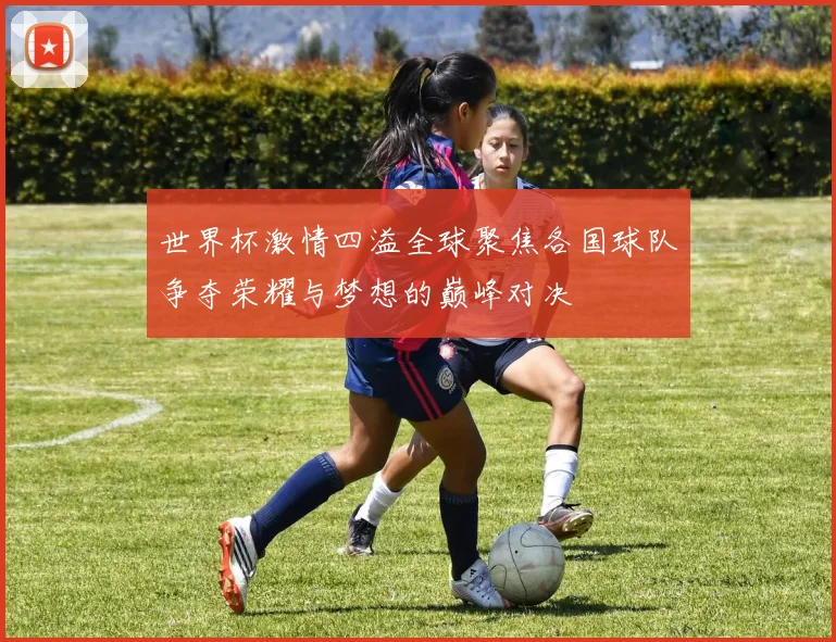 世界杯激情四溢全球聚焦各国球队争夺荣耀与梦想的巅峰对决