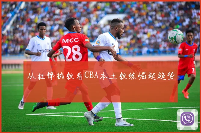 从杜锋执教看CBA本土教练崛起趋势