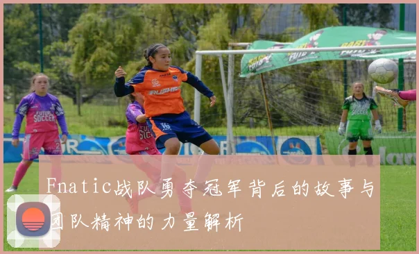 Fnatic战队勇夺冠军背后的故事与团队精神的力量解析