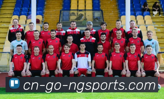 ng体育平台生态图