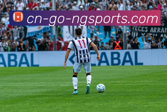 ng体育APP 封面图